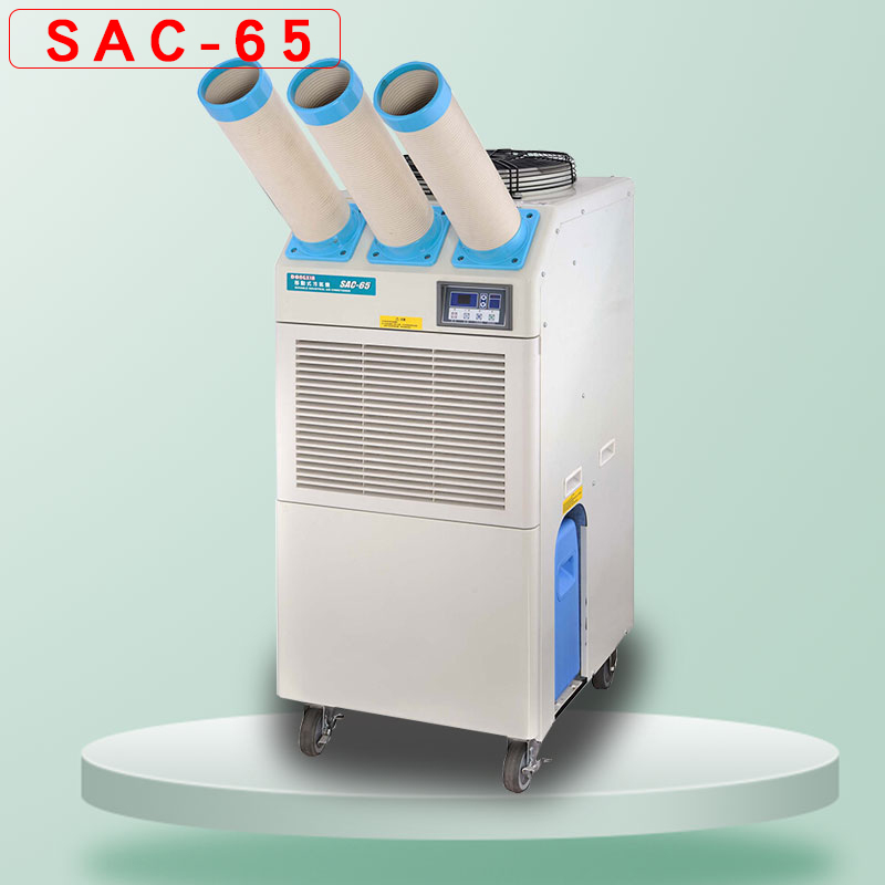 SAC-65ƶʽ