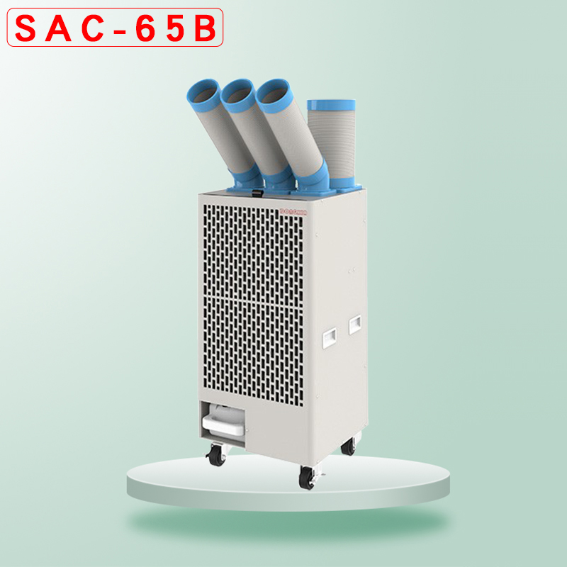 SAC-65Bƶʽ